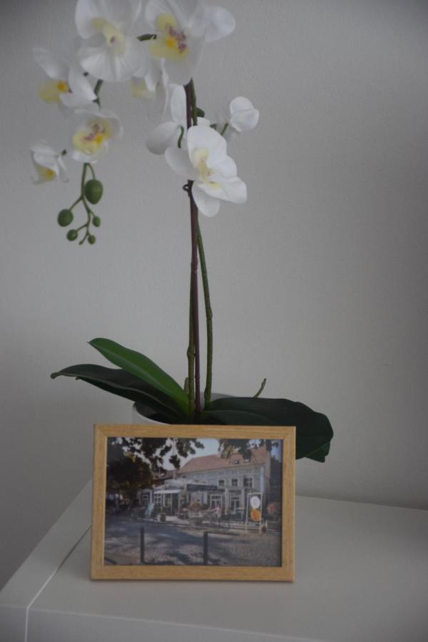 Feel Danube Apartment Zemun Ngoại thất bức ảnh